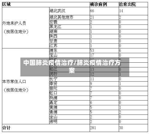 中国肺炎疫情治疗/肺炎疫情治疗方案