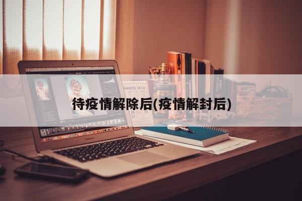 待疫情解除后(疫情解封后)